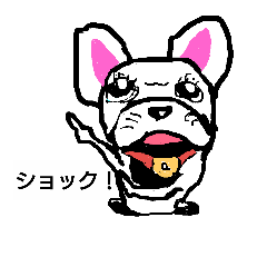 French bulldog1