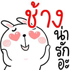 Hi CHANG : Rabbit 1