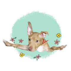 Dog Bess. Job honorific words. English.