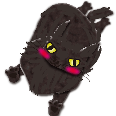 The cat black mako 4