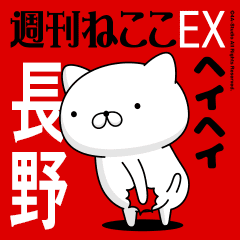 Move "NAGANO" name sticker feature 2