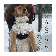 My dog's stamp by muu