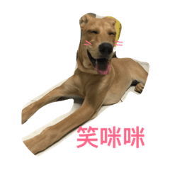 寶貝麵麵生活照