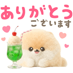 ぽぽちの夏♡やさしい気づかい＆敬語