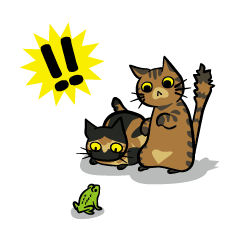 Tortoiseshell cat & Brown tabby cat