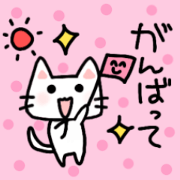 greeting @ white cat