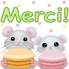 Macaron Mouse,French Edition