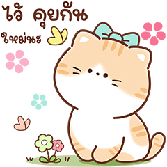 เหมียวส้ม ขาสั้น สุดคิ้วท์ คำแชทน่ารัก