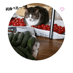 面白い可愛い子たち Line スタンプ Line Store