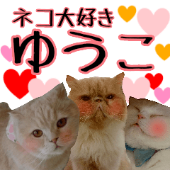 cat paradise yuko
