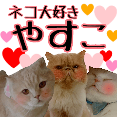 cat paradise yasuko