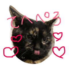 cat Rei