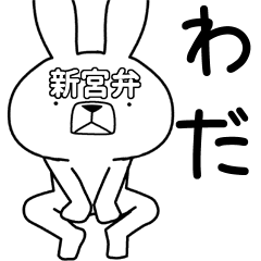 Dialect rabbit [shingu]
