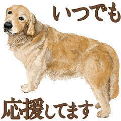 優しい犬 4 応援してます Line スタンプ Line Store