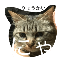 Mituko san