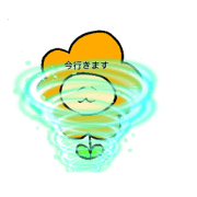 ohanacchi