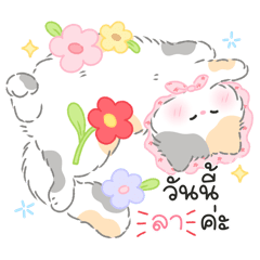 Blooming cat (work)
