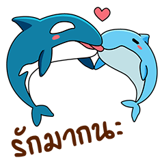 Dolphins beloved