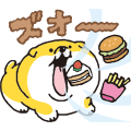 MUCHICOROBANBAN Chubby Days