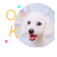 busakawainu