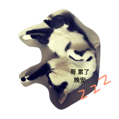 點點的生活
