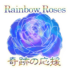 miracle rainbow roses