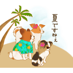 Dog's(summer)