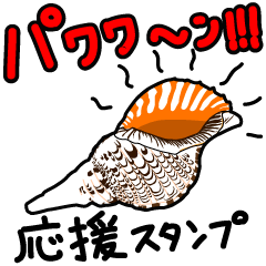 stickers of conch