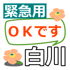 Emergency use[shirakawa]name Sticker