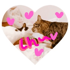 Nekomori okaka and omoti 's life