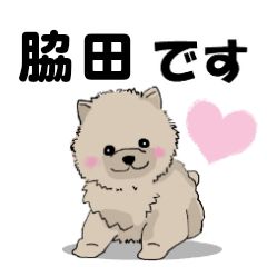 脇田さんが使う可愛い子犬の名前スタンプ