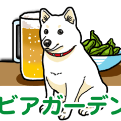 Wanko-Biyori White Shiba Inu 7