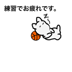 basket ball life
