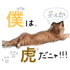 Yokoyama??
