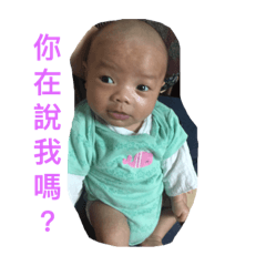 麥哥的日常生活