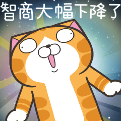 白爛貓☆超級呆☆