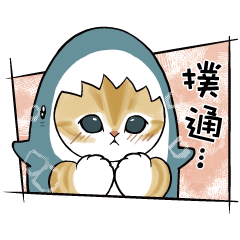 鯊魚貓咪 4