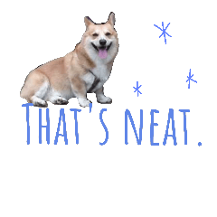 CoolCorgiStamp