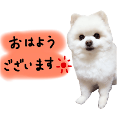 mokomokomoko-chan
