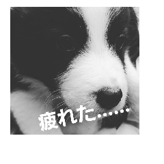 KUKU!