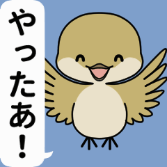 Japanese Little Bird