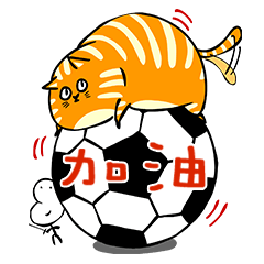 Fat orange cat,FIGHTING