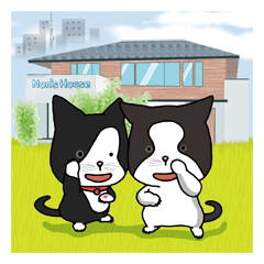 ノンちゃんの家のネコ ＝ミー子とギン＝