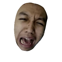 rapli jelek
