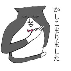 Omoto's cat