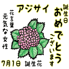 July Birth Flowers For Each Birthday Line Stickers Line Store