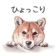 Dog Art Stickers by Momoji