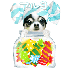 Candy Dogs The third installment