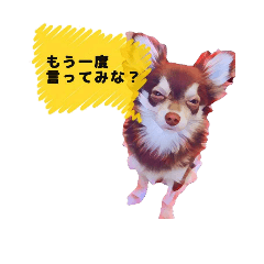 Wagamama Maro