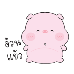 phung phuy pig
